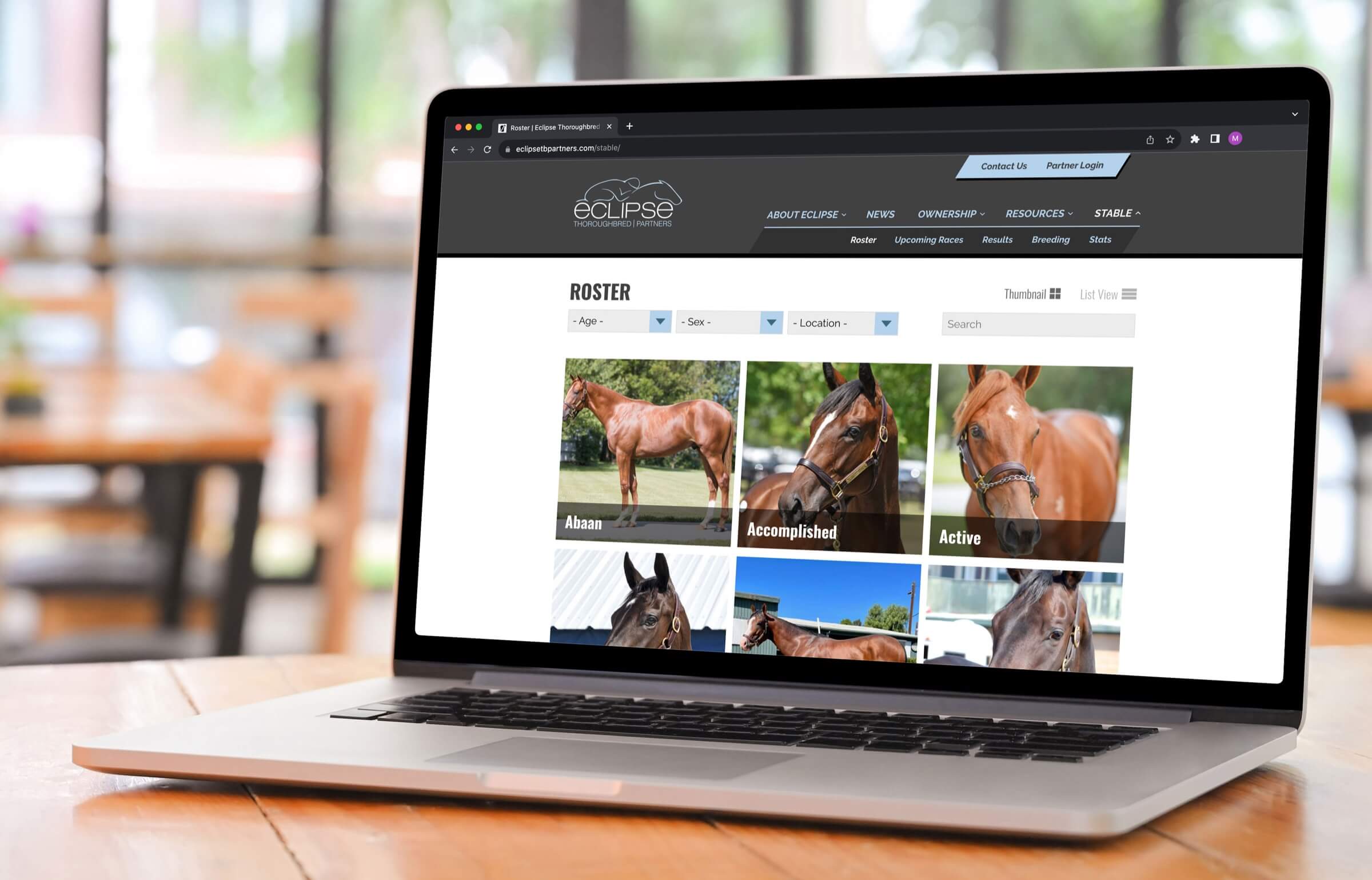 02-Eclipse-Gallery@2x