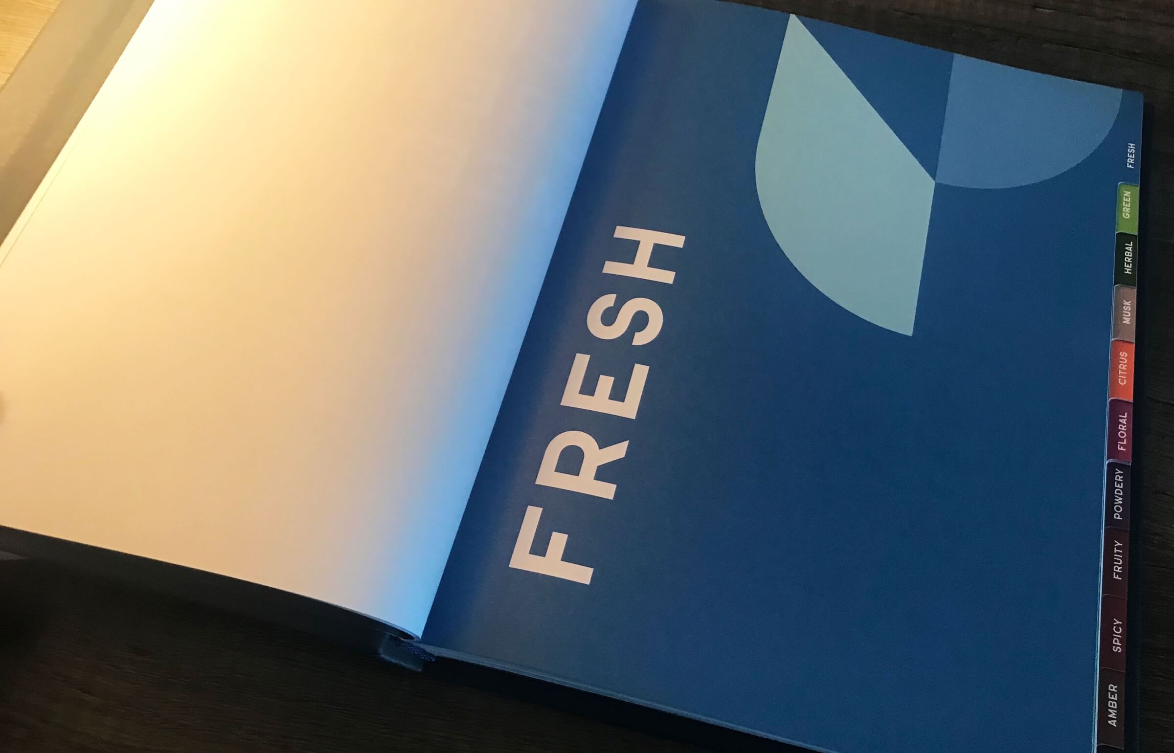 04 - IFF Compendium@2x